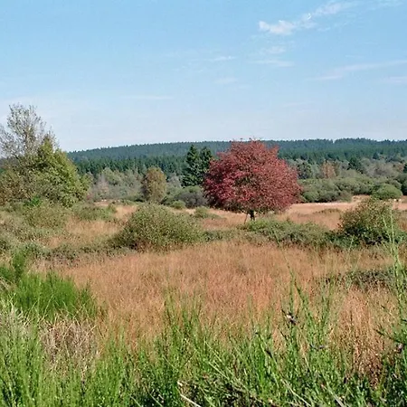 Апартаменты Weiher Lounge