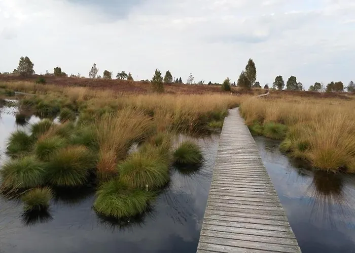 Weiher Lounge * 锡默拉特