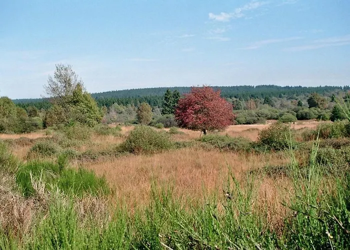 公寓 Weiher Lounge